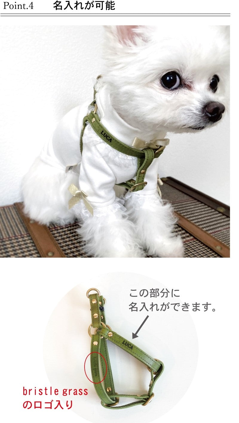 ニシカゼ