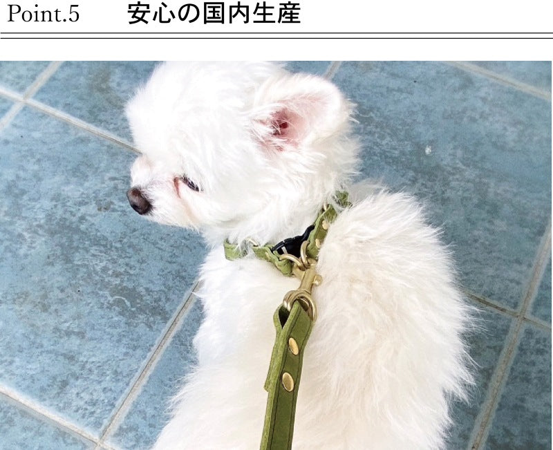 ニシカゼ