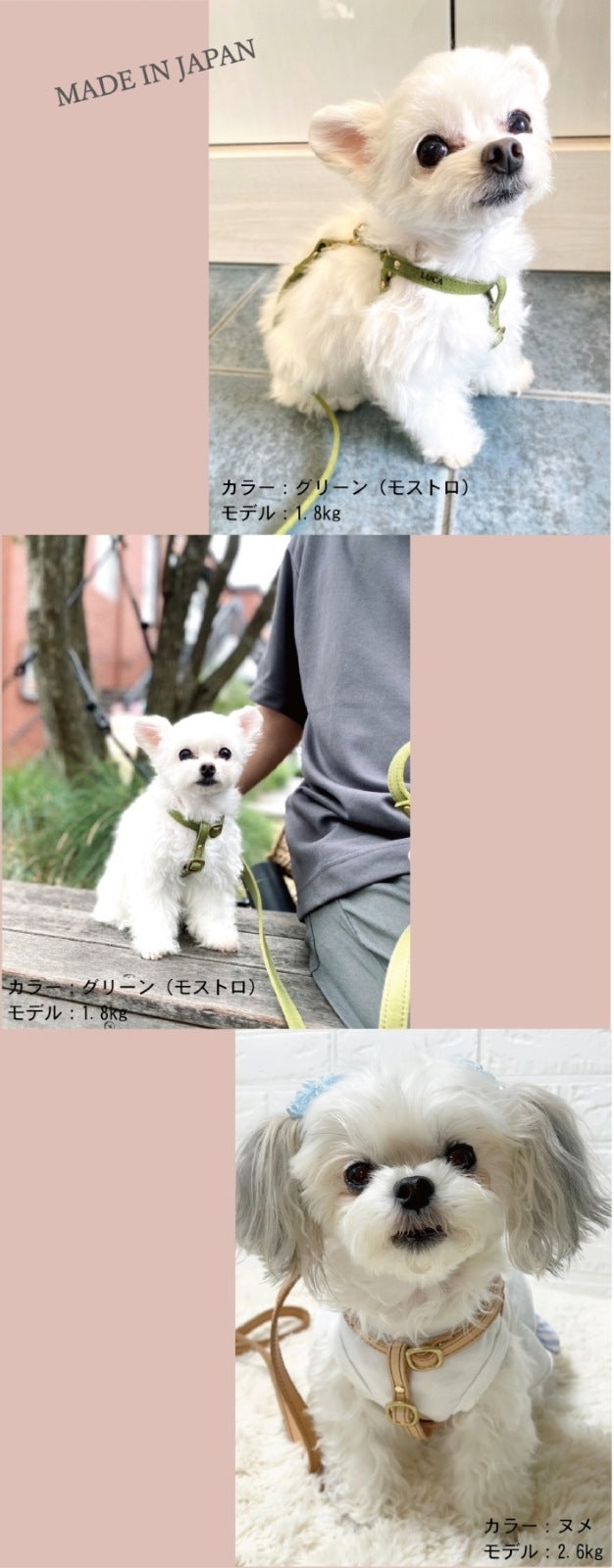ニシカゼ