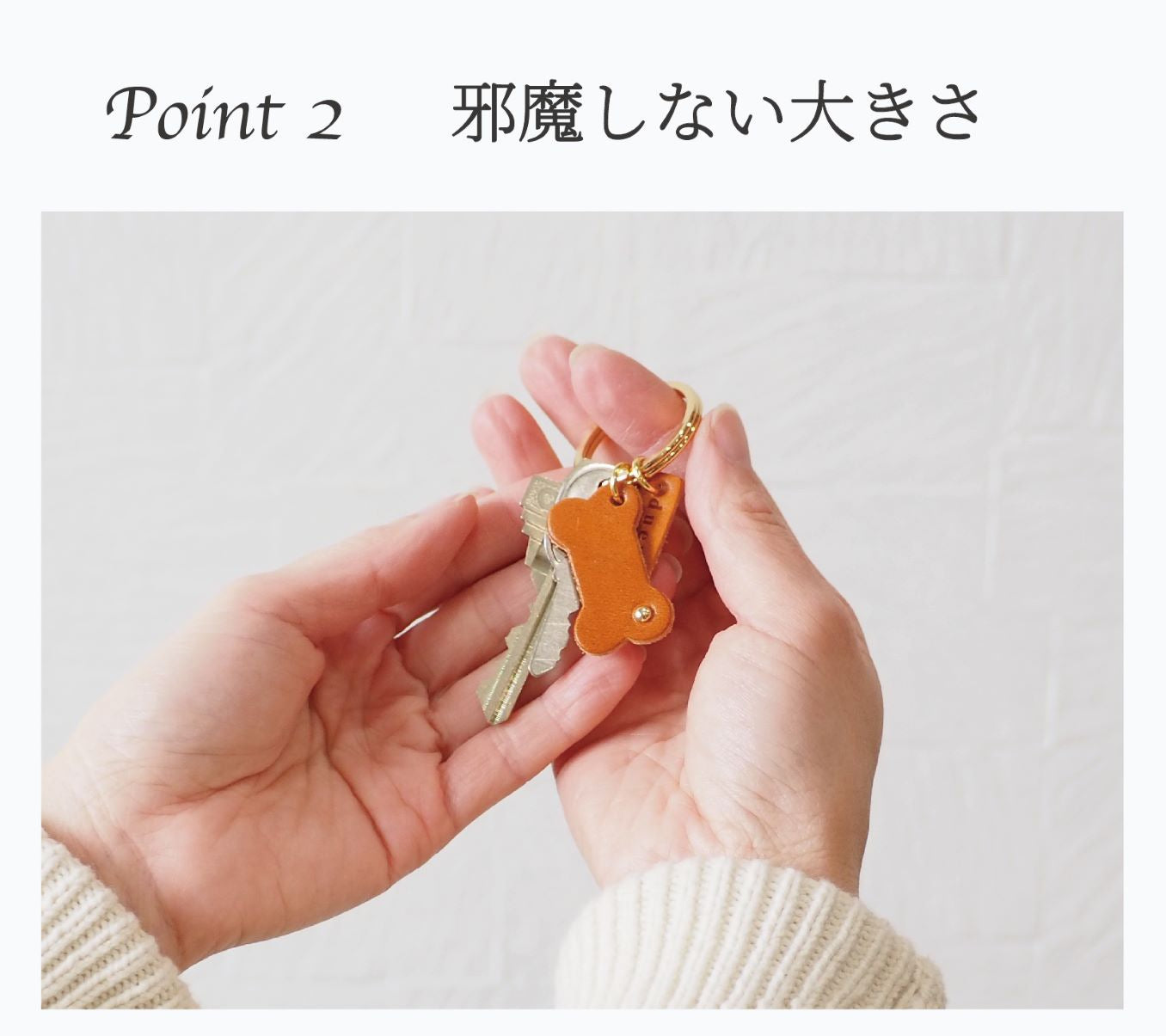 ニシカゼ