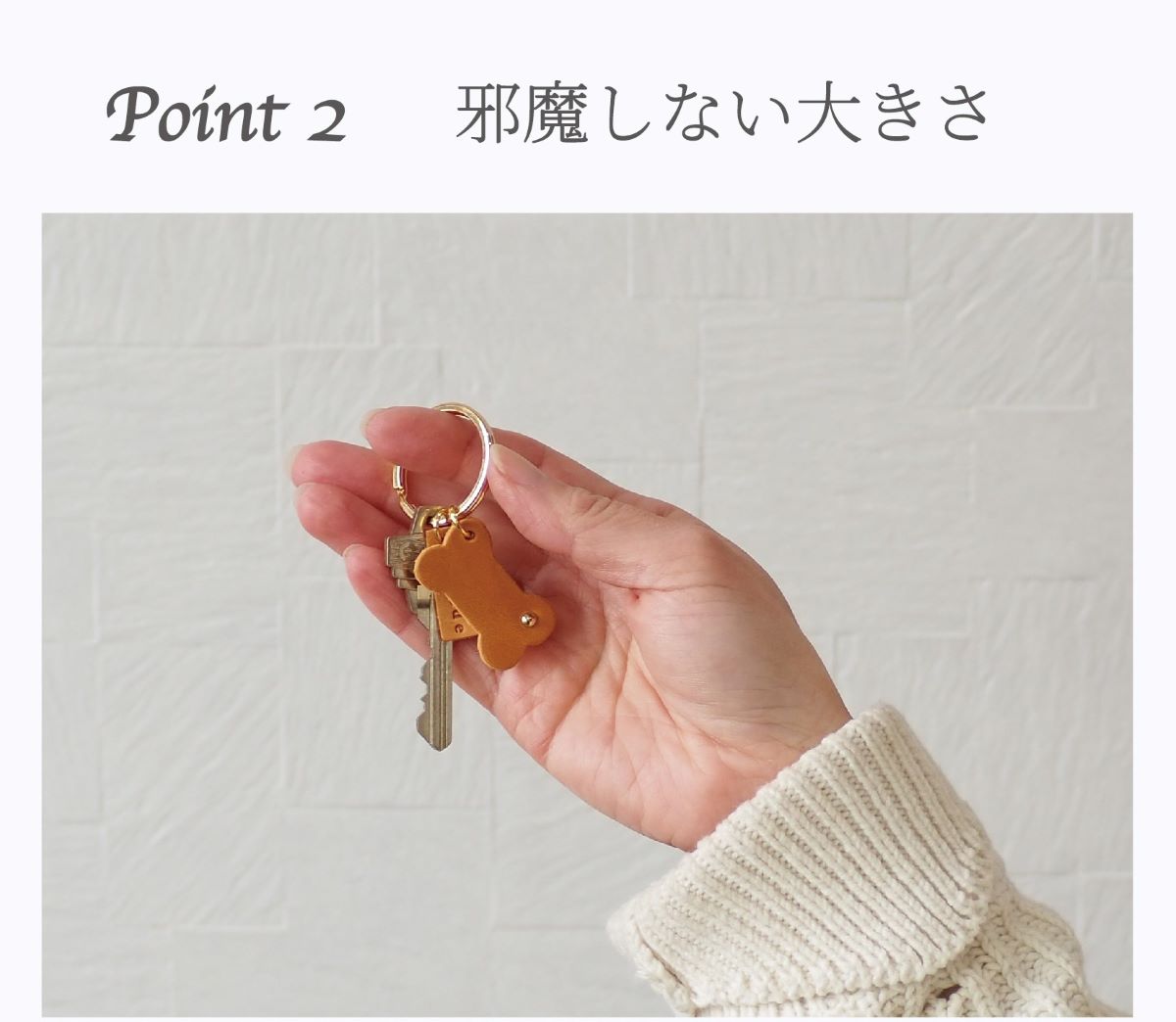 ニシカゼ
